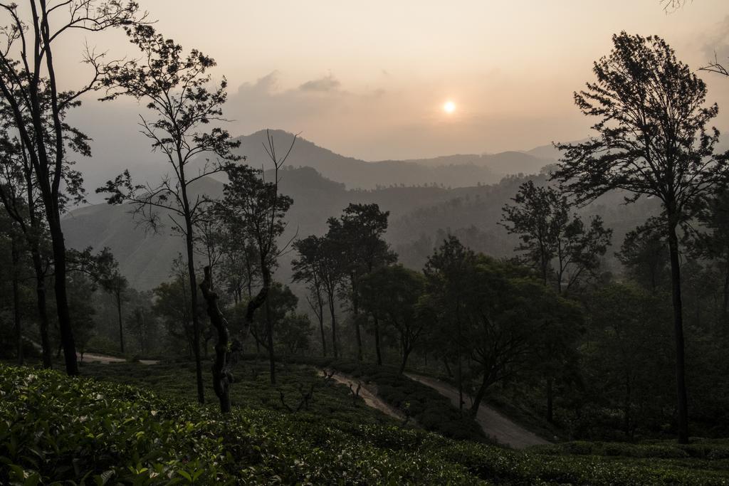Ella Mountain Palace Ngoại thất bức ảnh